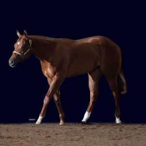 Meet your Posher, Danita